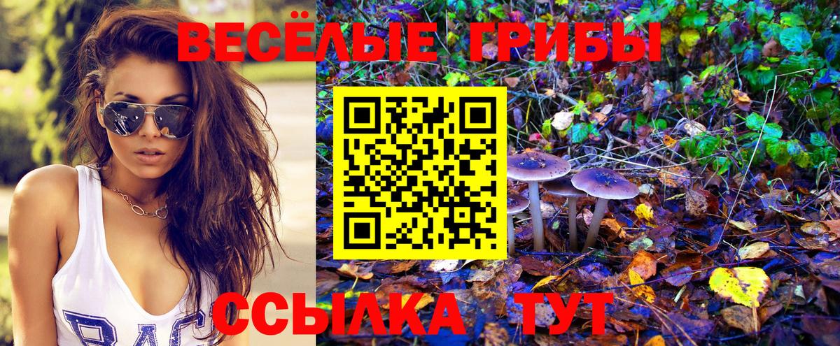 Галлюциногенные грибы Cubensis Карасук