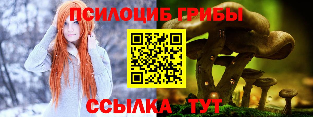 Псилоцибиновые грибы MAGIC MUSHROOMS  Галлюциногенные грибы Psilocybine cubensis  Карасук  Вход с VPN 