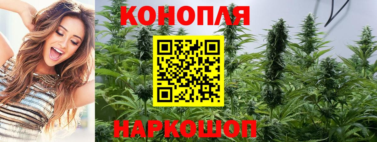 Конопля LSD WEED Карасук
